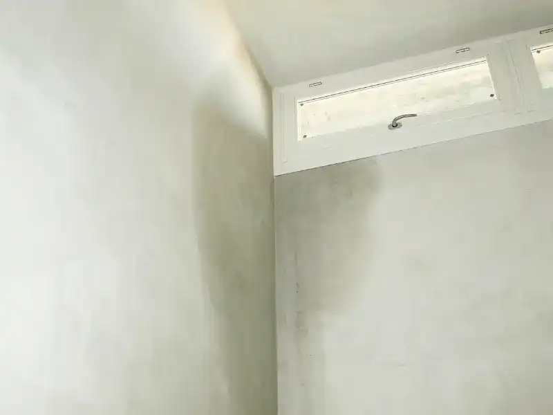 mould on wall
