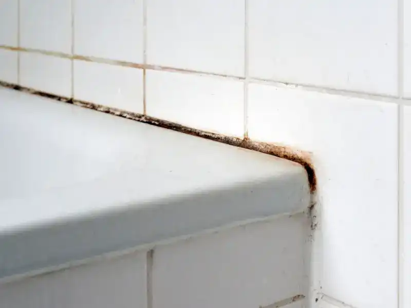 damp in bathroom
